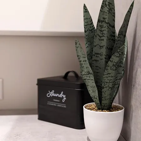 Mere Apartment - Private Yard, Sauna And Pet Friendly דירה פארנו